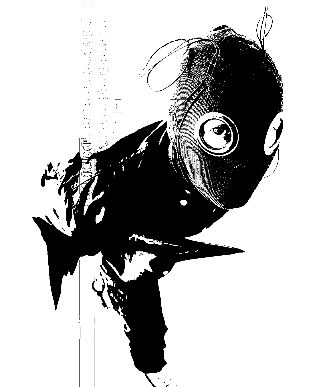 Data Pupil 0
