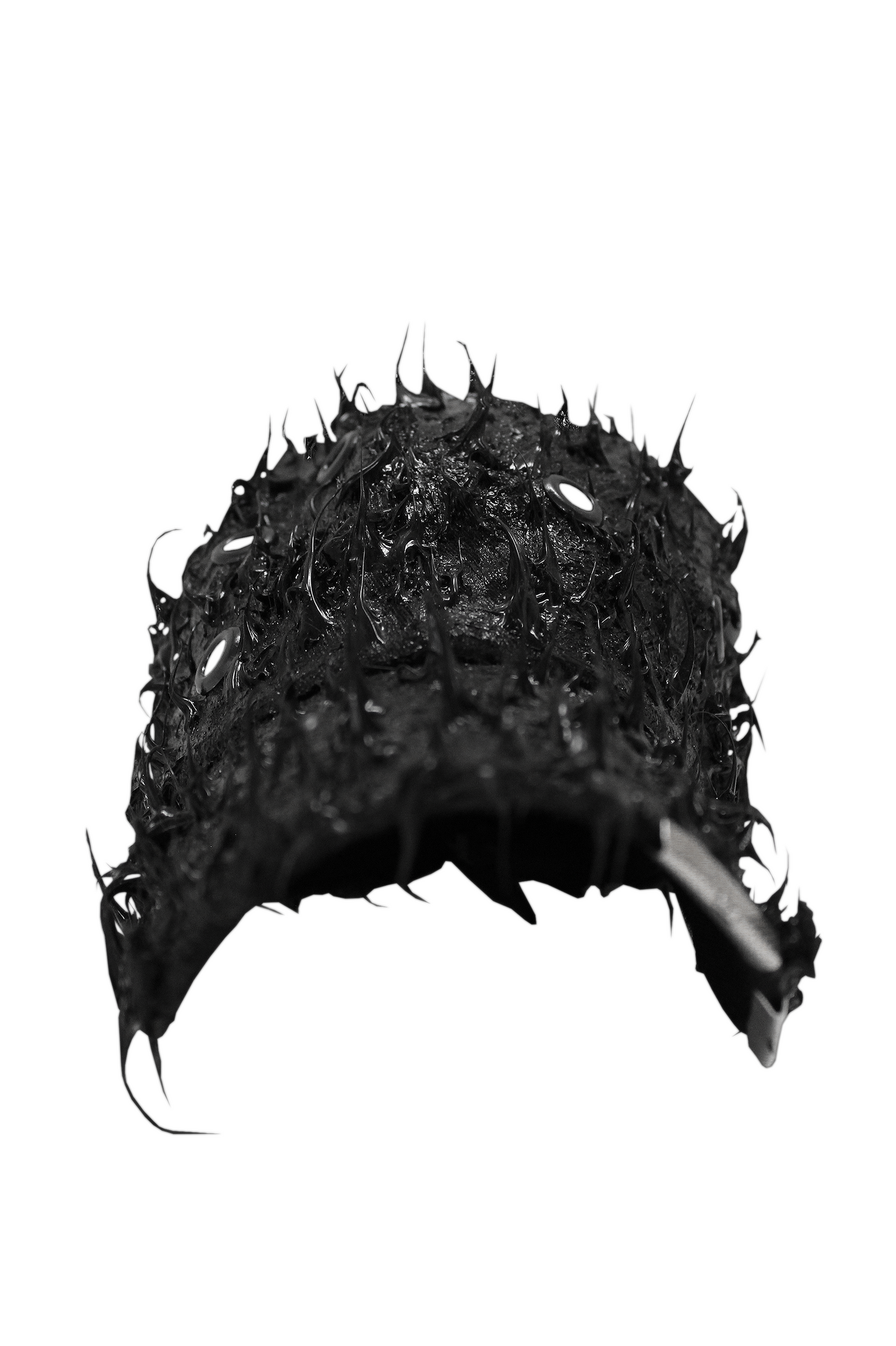 DESMODUS CRANEAL SPINAE